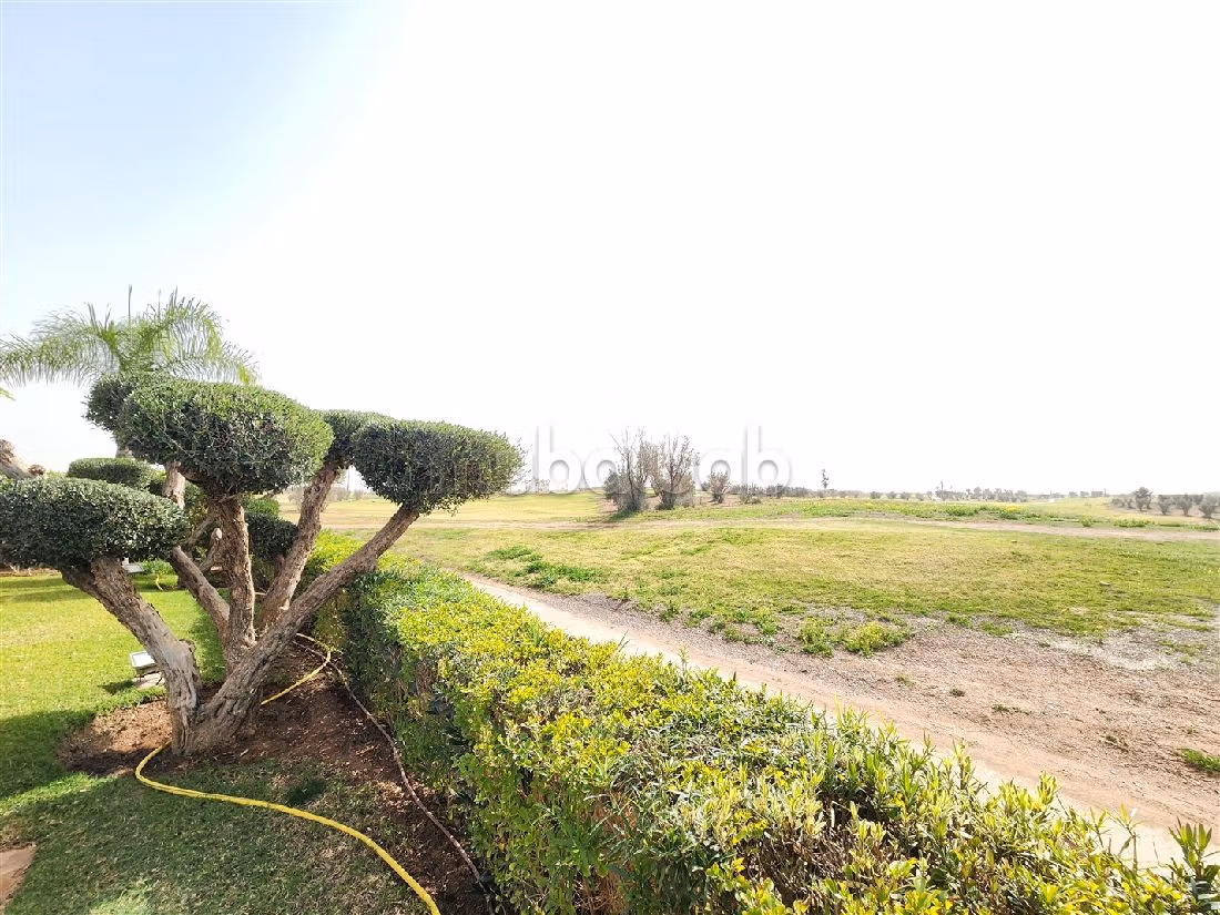 1ERE ligne sur GOLF: top VUE plein ATLAS