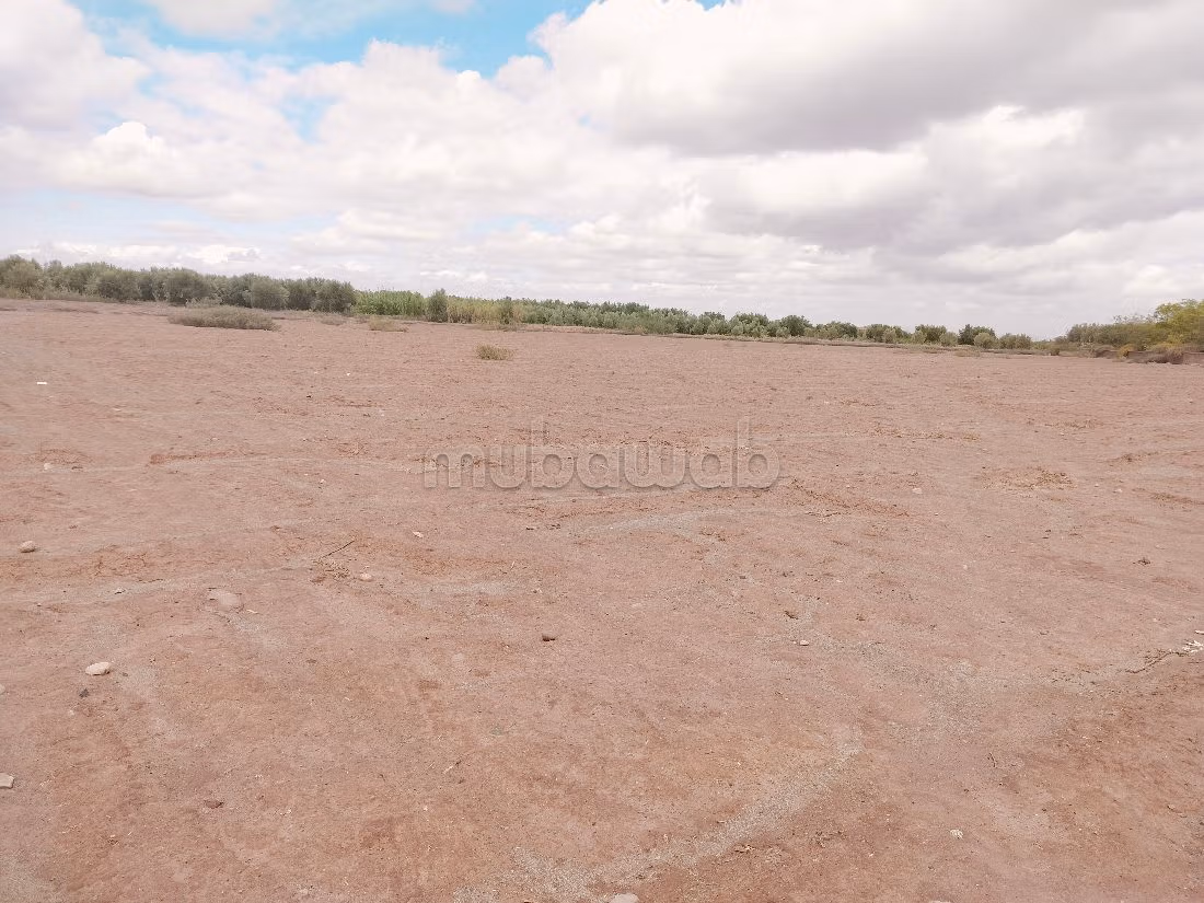 Acquista questo bel terreno. Superficie 14000 m².