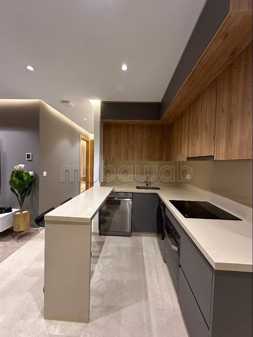 Appartement de luxe à louer