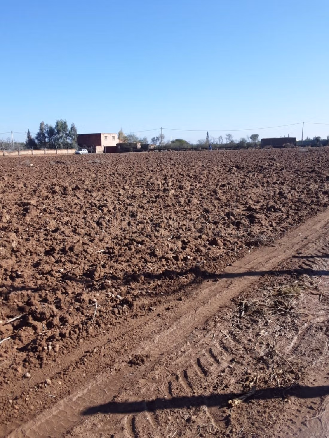 Terain Guiche non titré à Loudaya 
25min de Marrakech