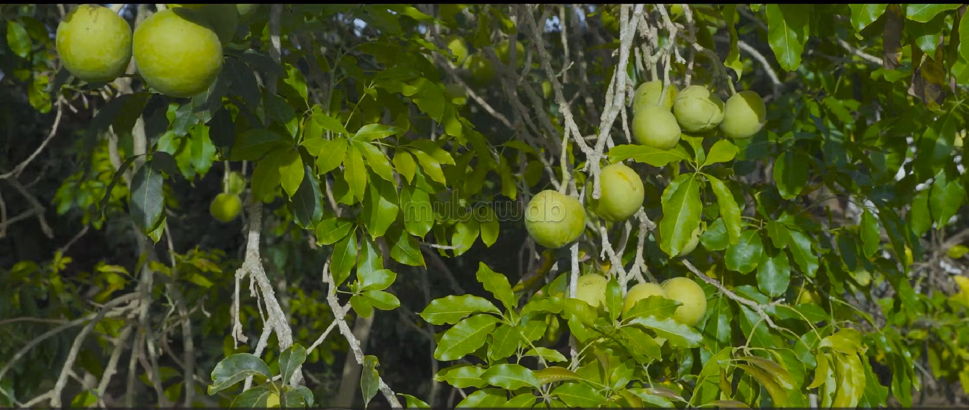فيلا رائعة للبيع ب حي السفراء. 6 قطع كبيرة. الراحة مع مكيف الهواء و مدفأة