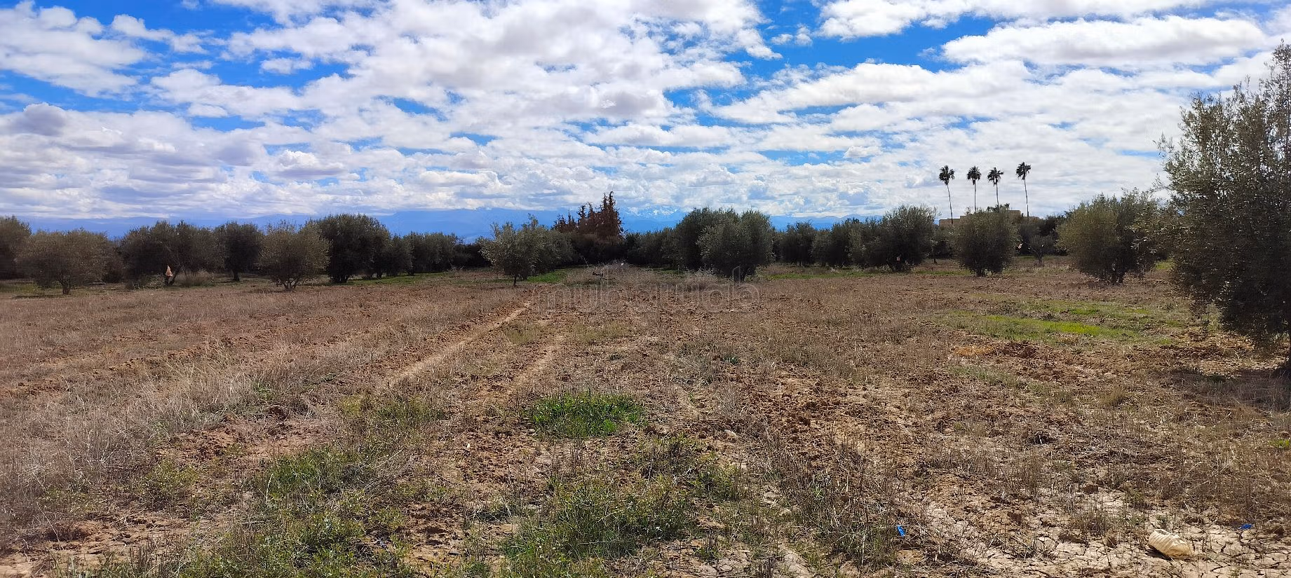 Terrain à acheter à Sidi Abdallah Ghiat. Superficie 24172 m²