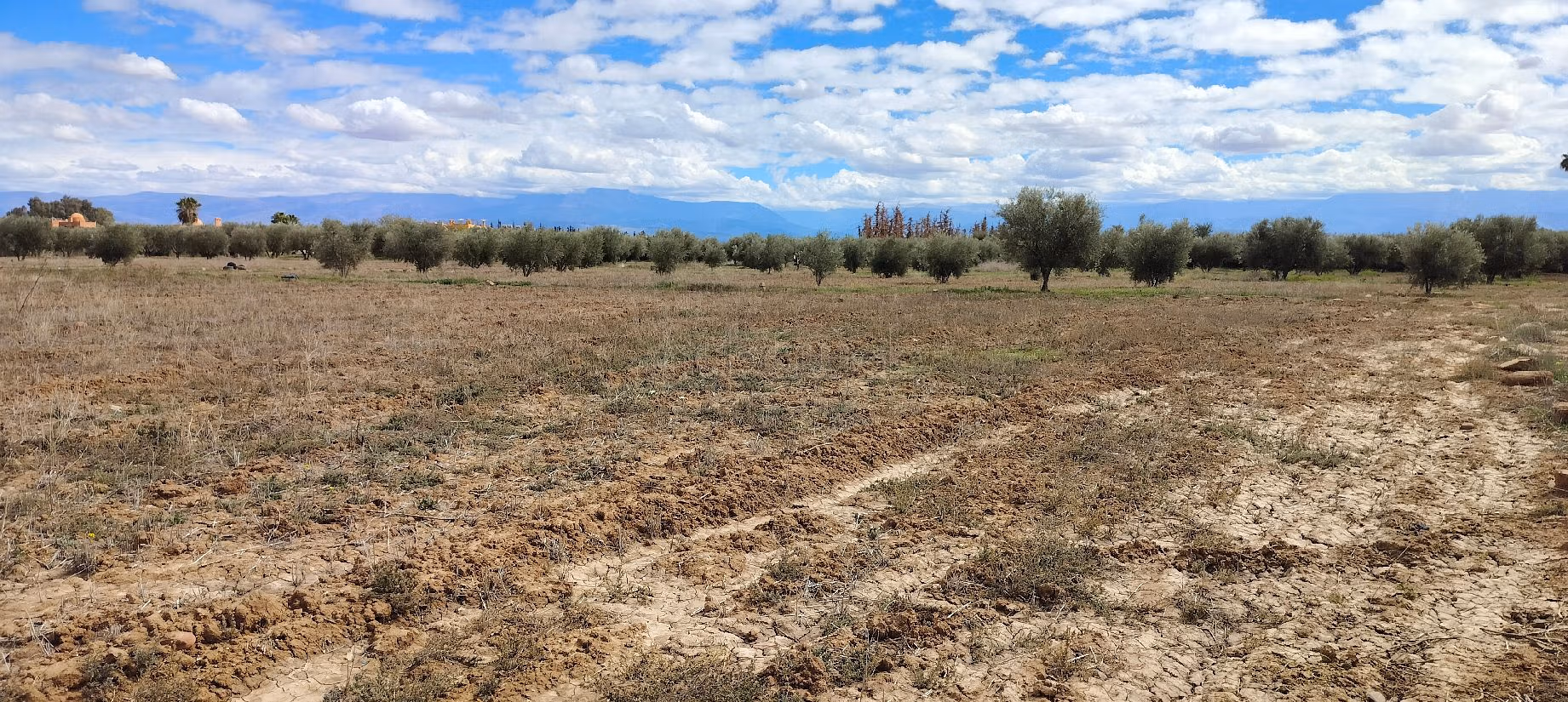 Terrain à acheter à Sidi Abdallah Ghiat. Superficie 24172 m²