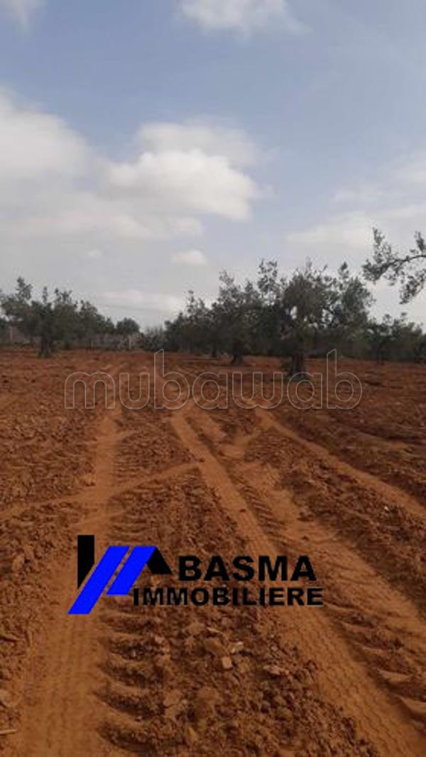 Farms for sale Tunisia, Farm Sale Mubawab