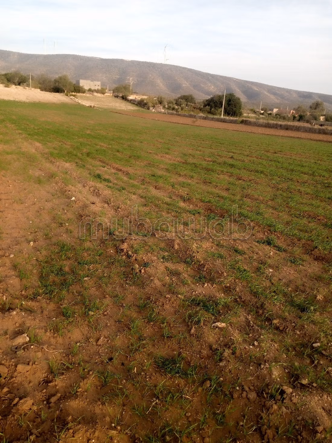 أرض جميلة للبيع ب طريق آسفي. المساحة 13000 م²