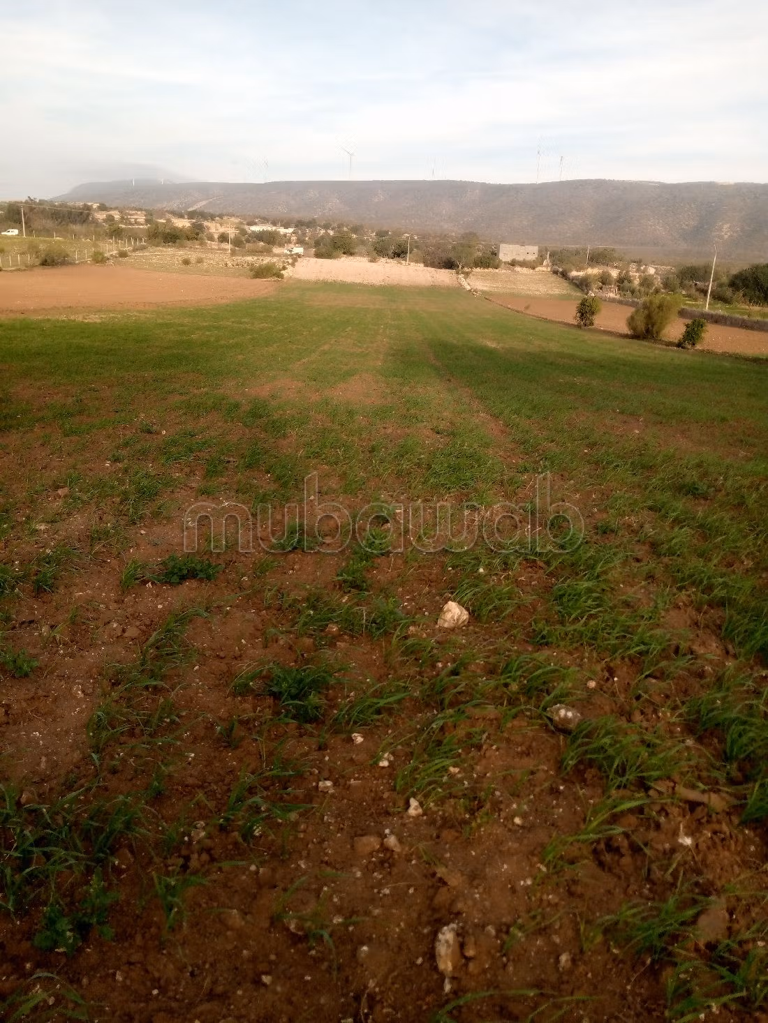 أرض جميلة للبيع ب طريق آسفي. المساحة 13000 م²