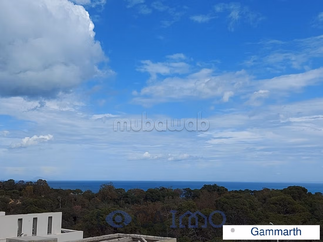 Affitto di un bellissimo appartamento a Gammarth. Superficie 330 m². Terrazzo e garage. 