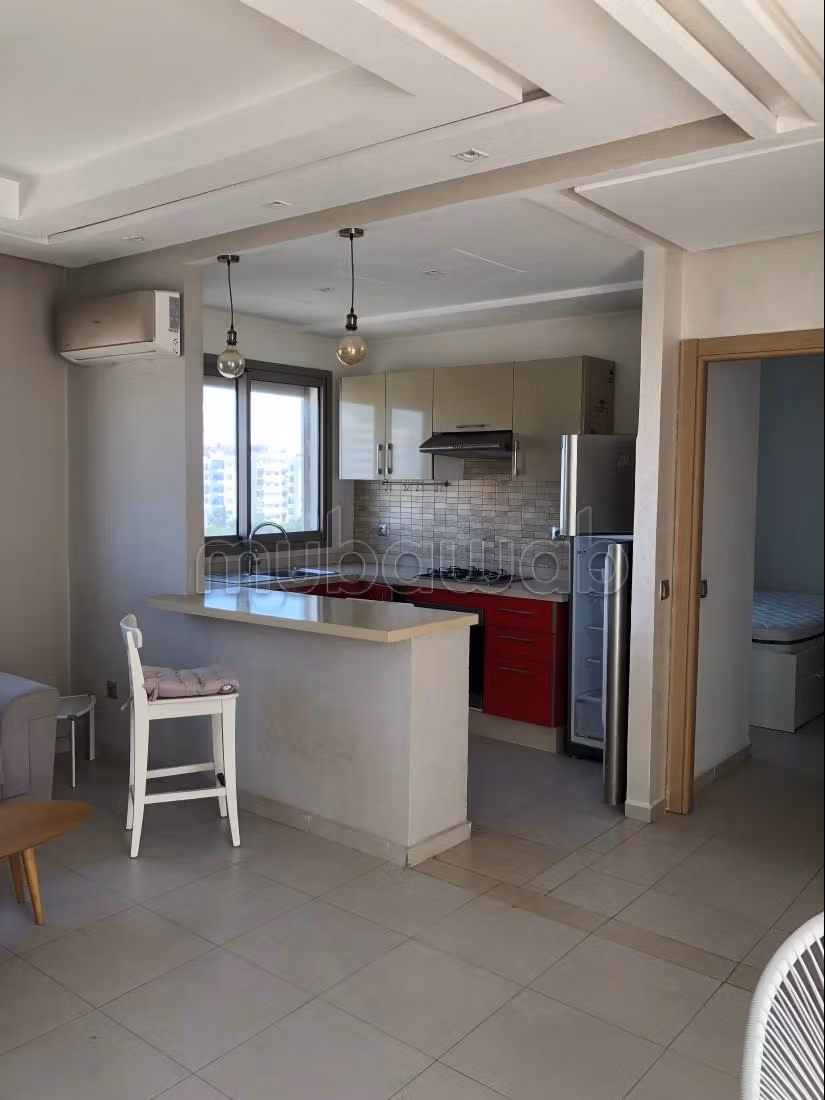 Splendido appartamento in affitto a Bourgogne Est. 1 camera. ammobiliato. 