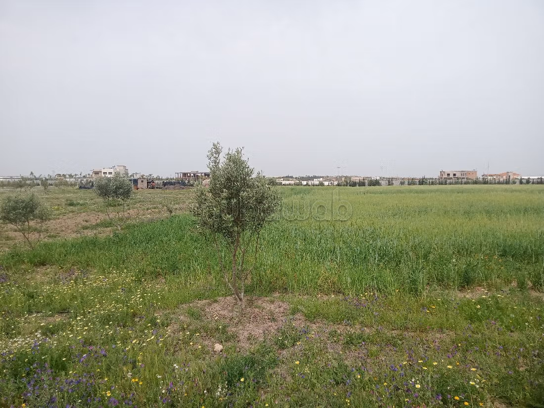 أرض للبيع ب جولف بنسليمان. المساحة الإجمالية 40000 م². 