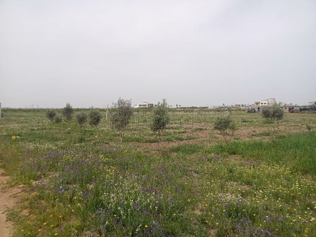 أرض للبيع ب جولف بنسليمان. المساحة الإجمالية 40000 م². 