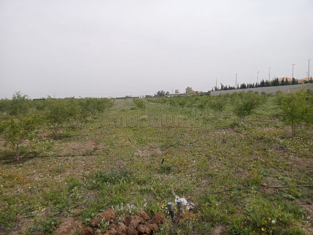 أرض للبيع ب جولف بنسليمان. المساحة الإجمالية 40000 م². 