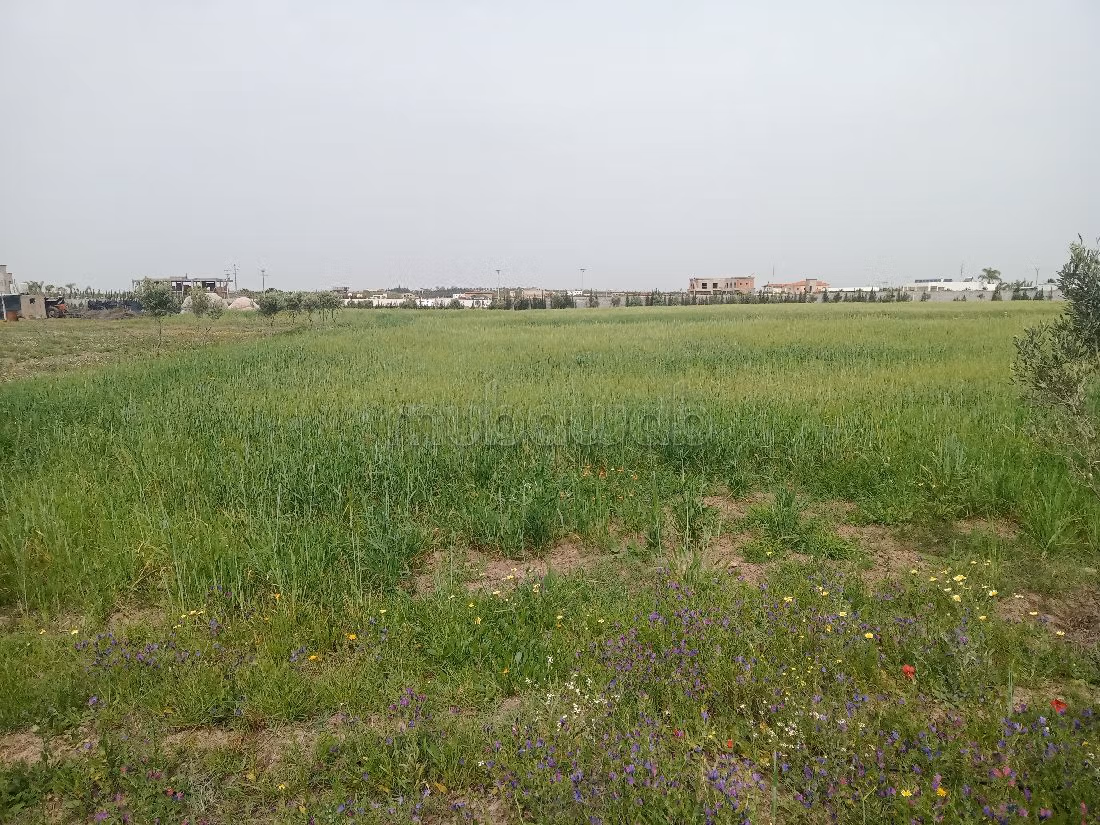 أرض للبيع ب جولف بنسليمان. المساحة الإجمالية 40000 م². 