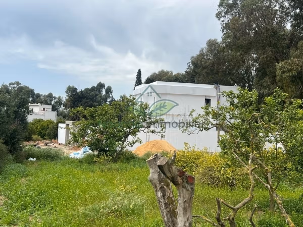 A vendre un Terrain à Hammamet Centre