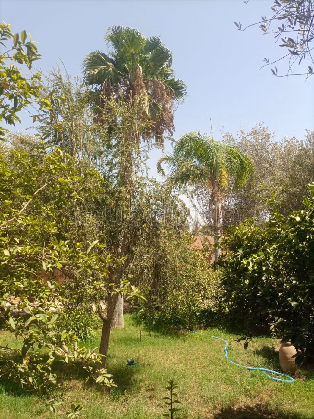 رياض للبيع ب أغفي. المساحة الإجمالية 2070 م². مدفئة مركزية وباب متين. 