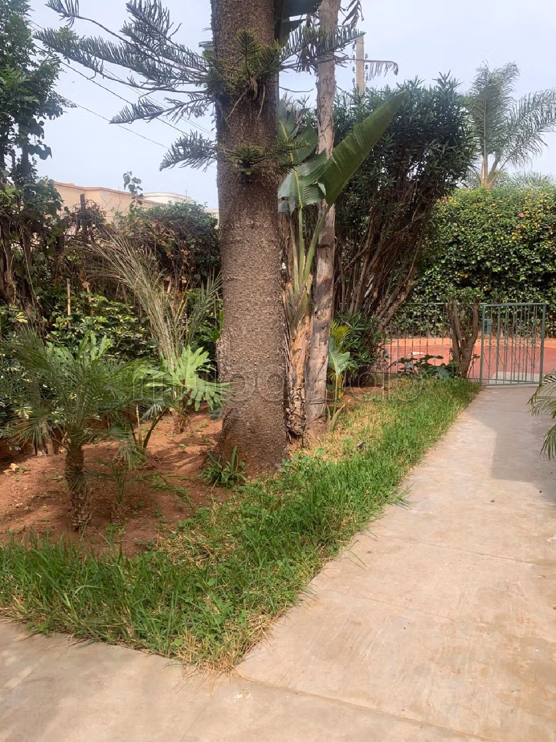 Villa à louer à polo