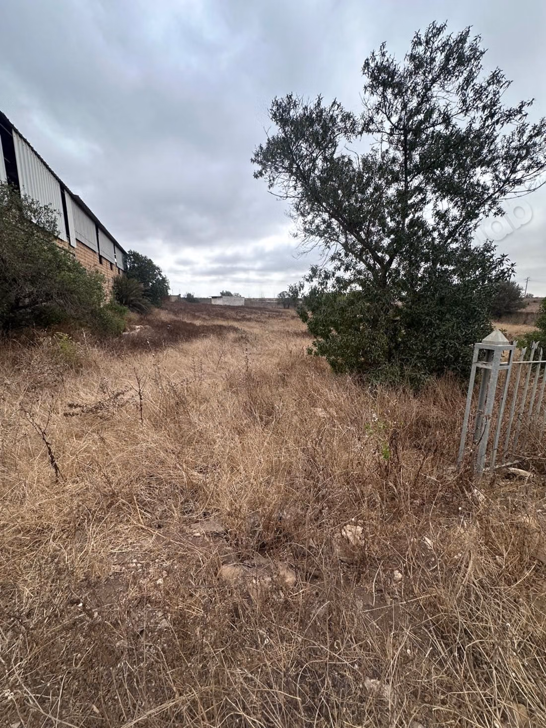 Tenuta agricola in vendita. Superficie totale 10000 m²