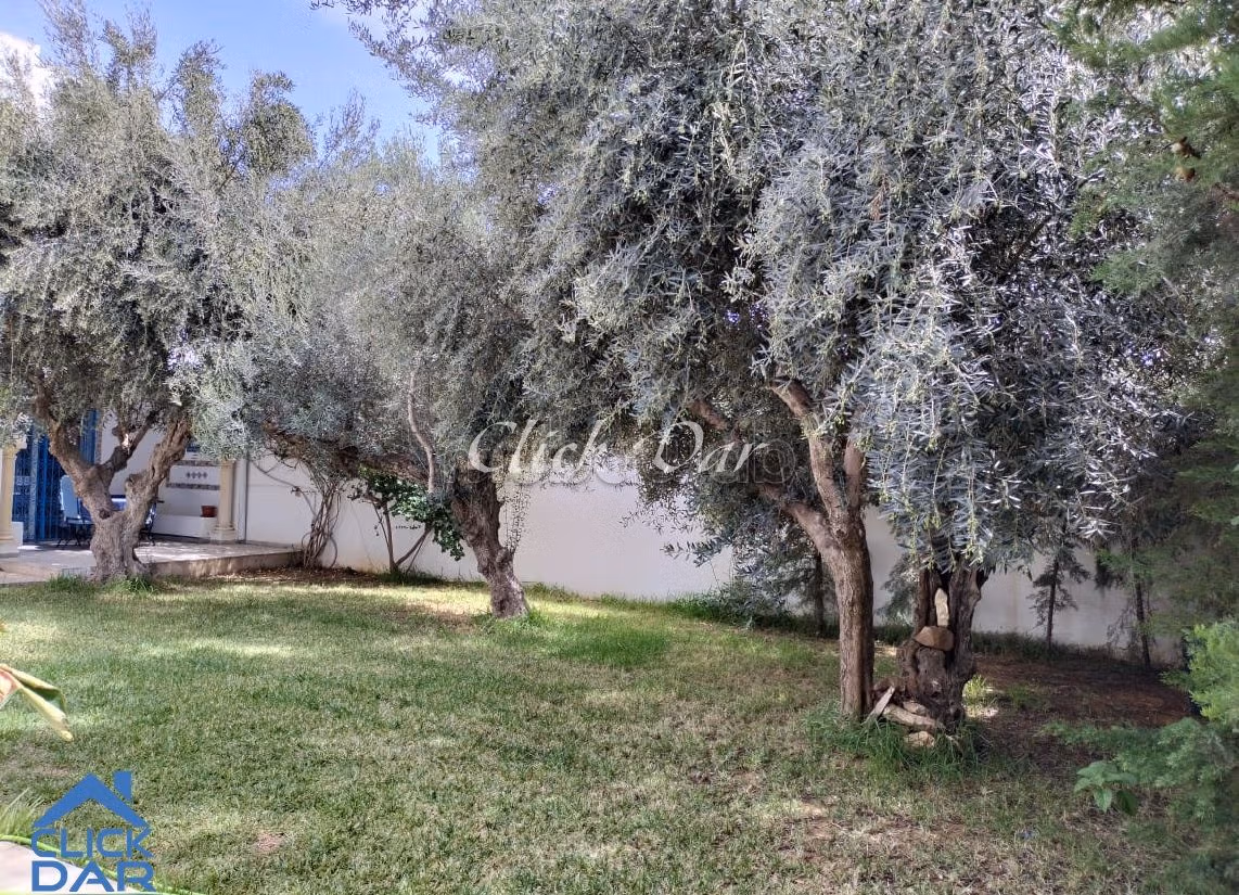 Villa avec jardin à louer Hammamet