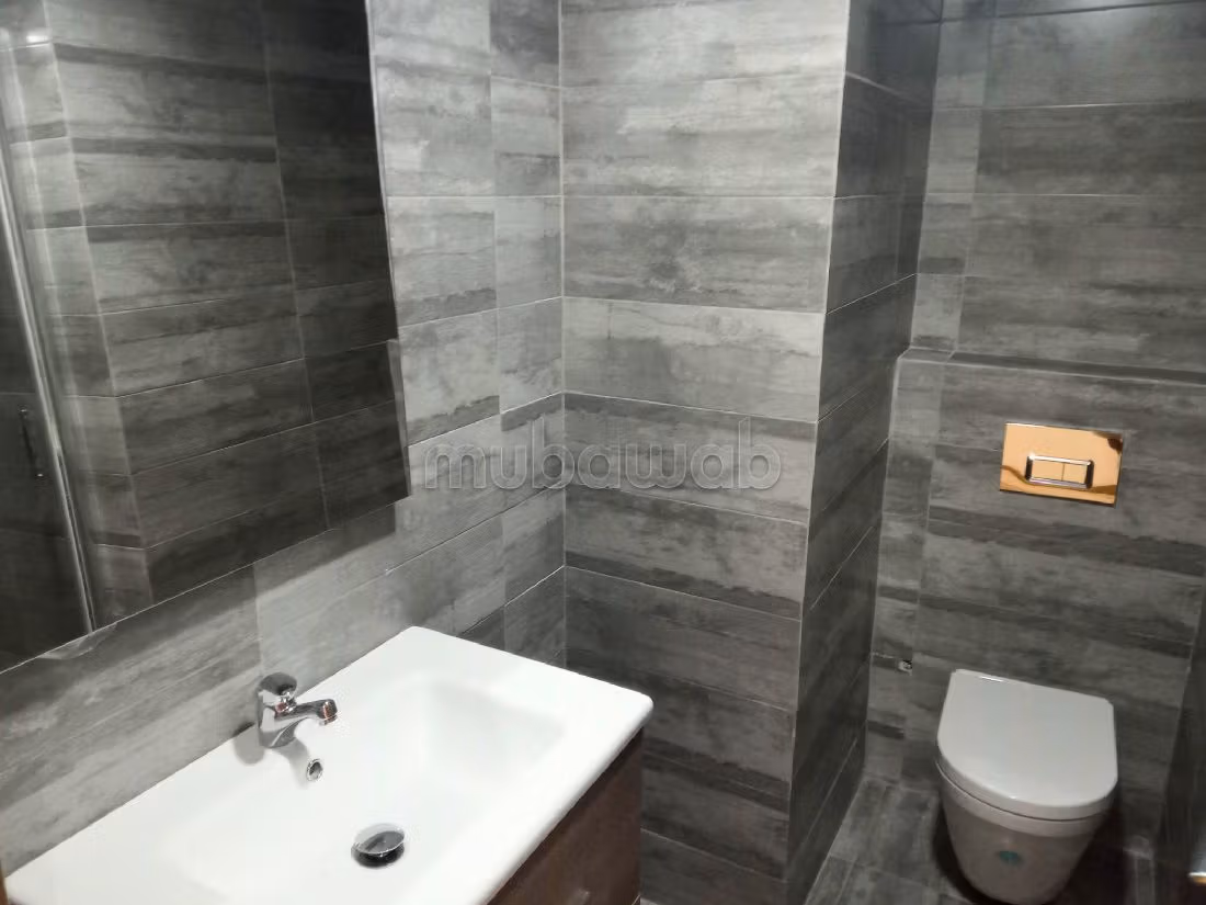 Flat for rent in Quartier du Parc. 3 lovely rooms. Parking spaces and terrace
