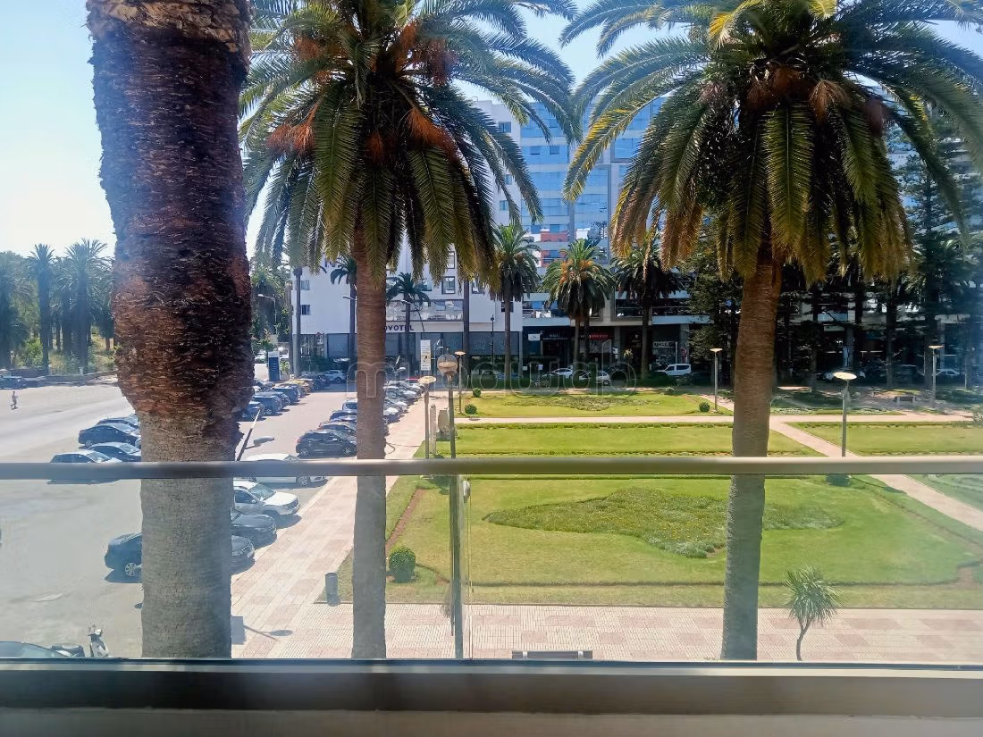 Flat for rent in Quartier du Parc. 3 lovely rooms. Parking spaces and terrace