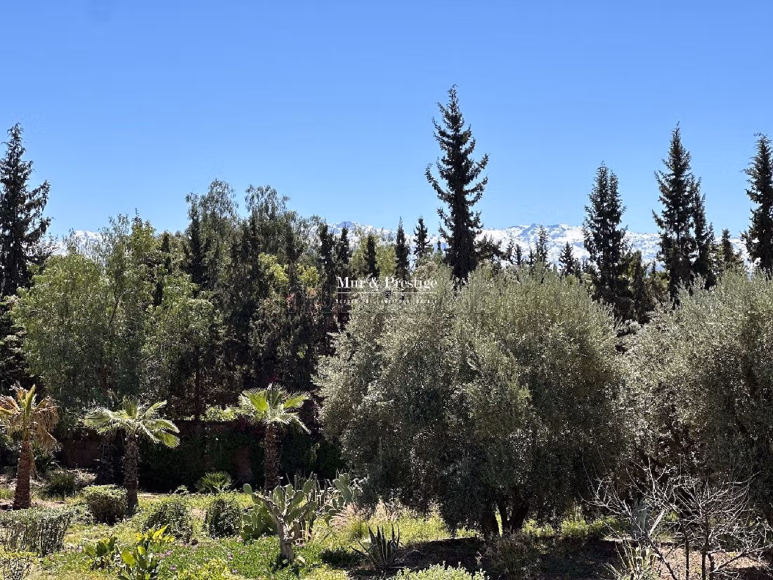 Se vende villa de lujo. 6 habitaciones