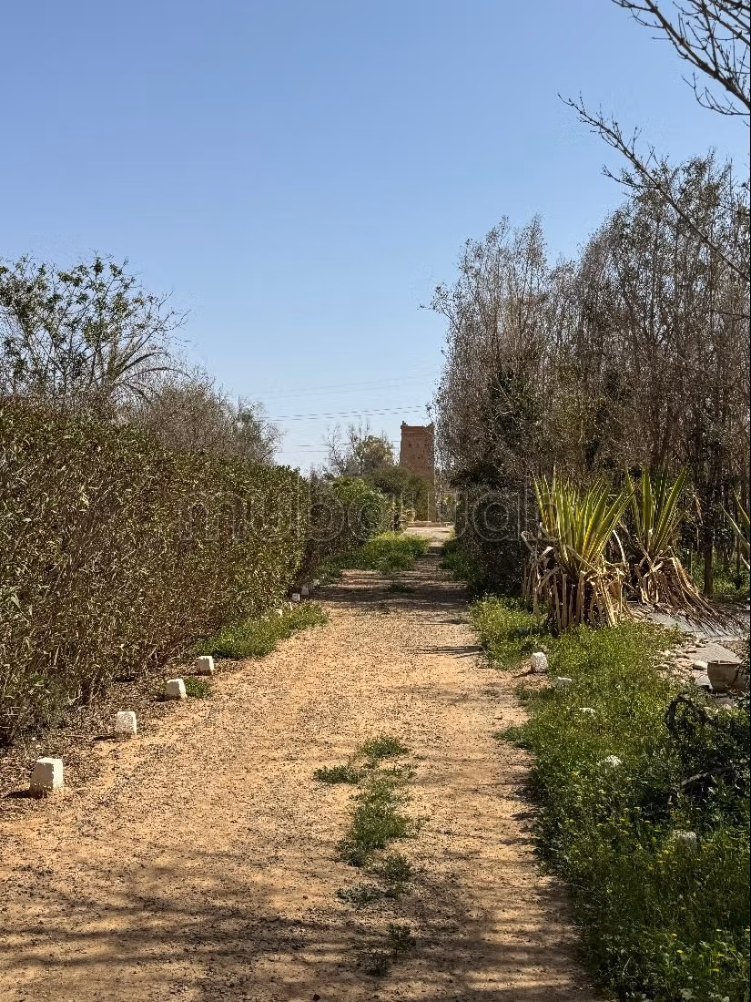 Granja en venta. Superficie de 110000 m². Seguridad 24/24