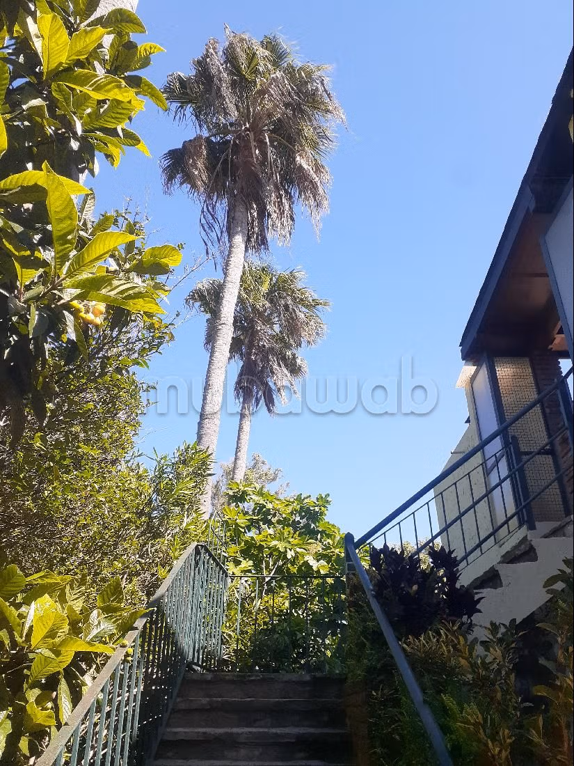 Magnifique appartement a jbelkebir
