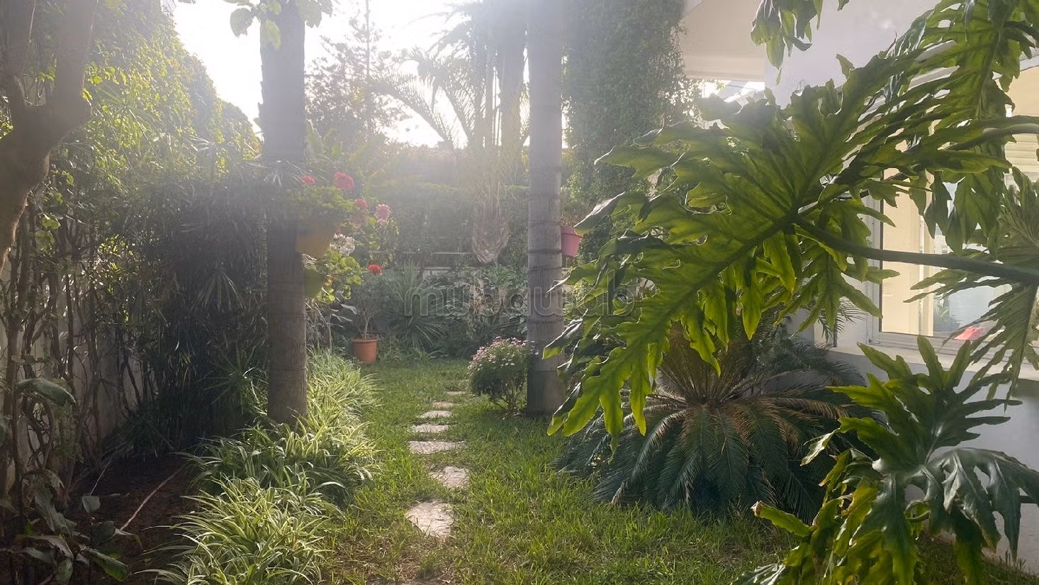 Villa moderne à Califonie 416 m2