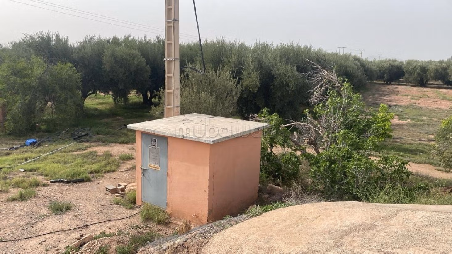 Trova la fattoria ideale a Route d'Agadir - Essaouira. Superficie di 81587 m². 