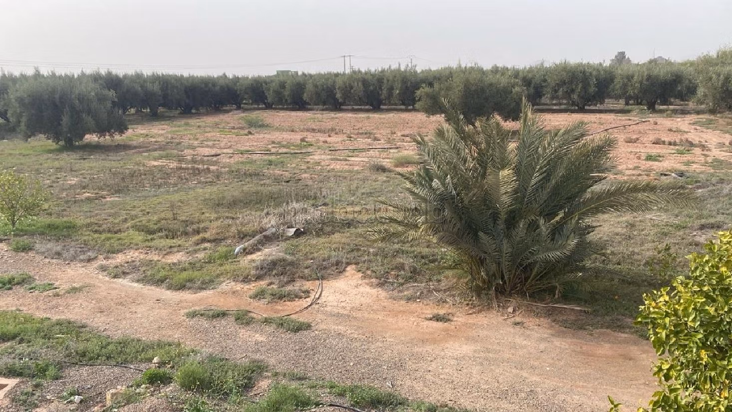 Trova la fattoria ideale a Route d'Agadir - Essaouira. Superficie di 81587 m². 