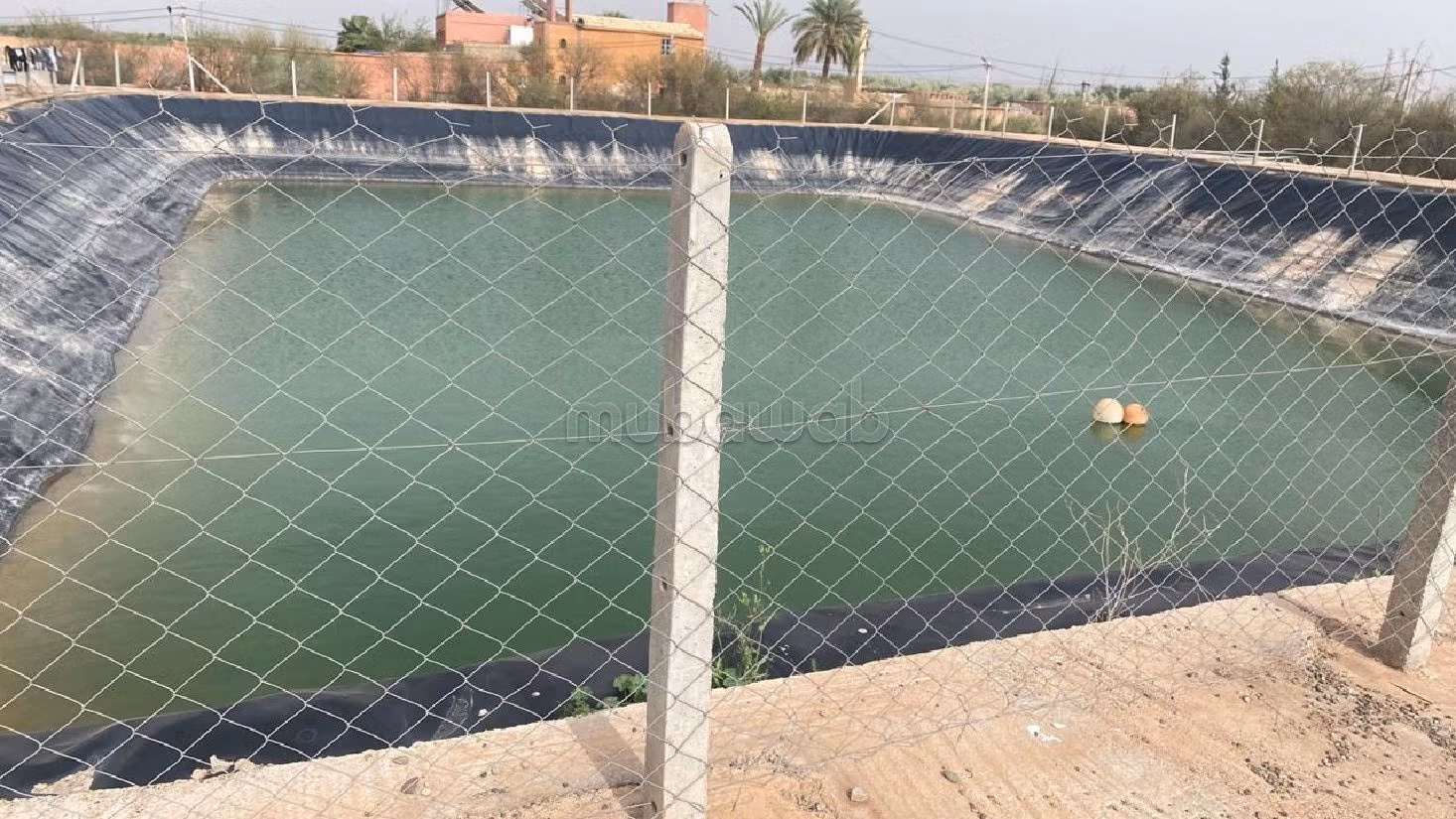 Trova la fattoria ideale a Route d'Agadir - Essaouira. Superficie di 81587 m². 