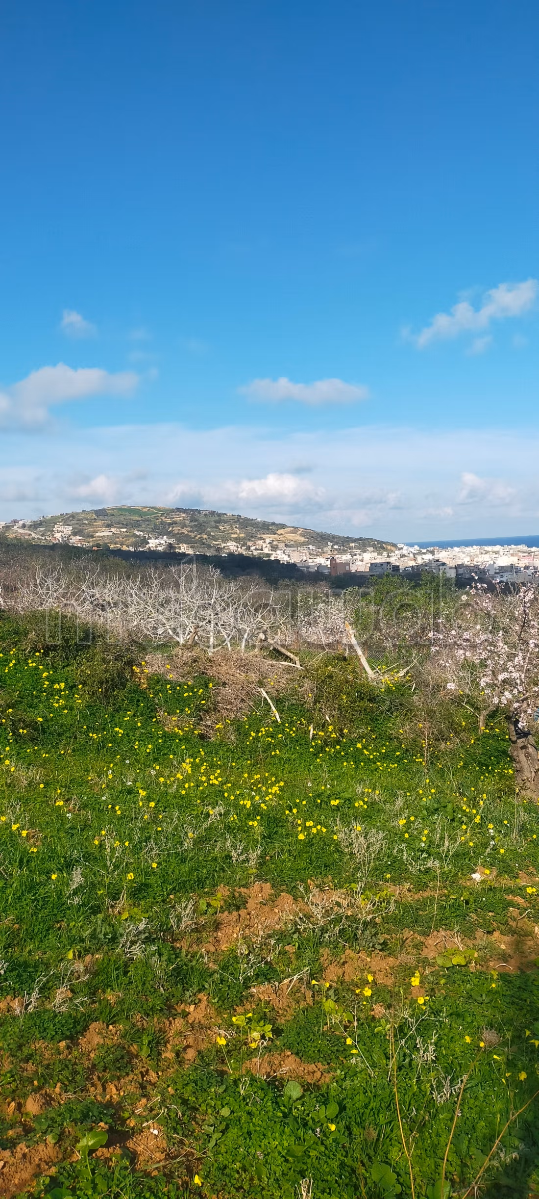 Terrain d'exception avec vue panoramique sur la baie de Rafraf plage À ne pas manquer