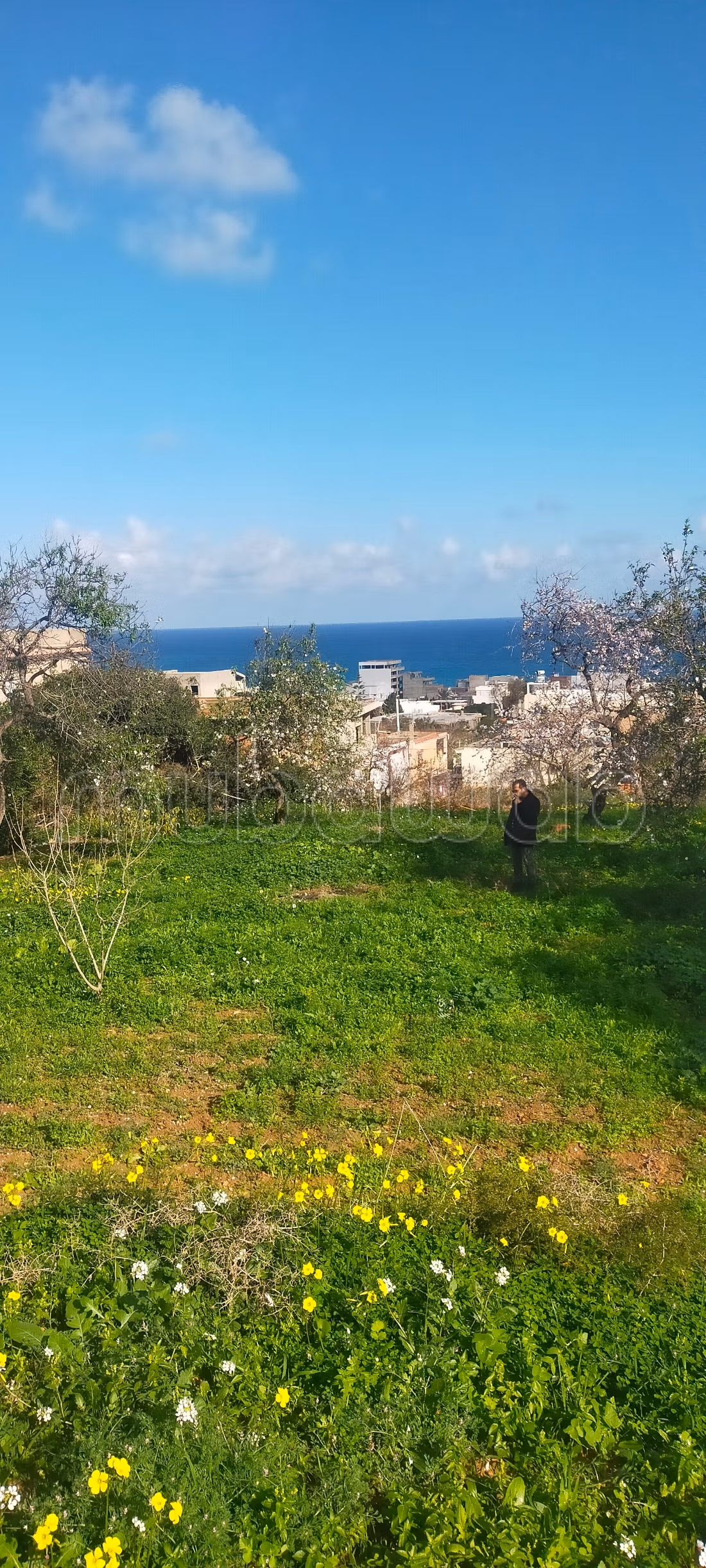 Terrain d'exception avec vue panoramique sur la baie de Rafraf plage À ne pas manquer