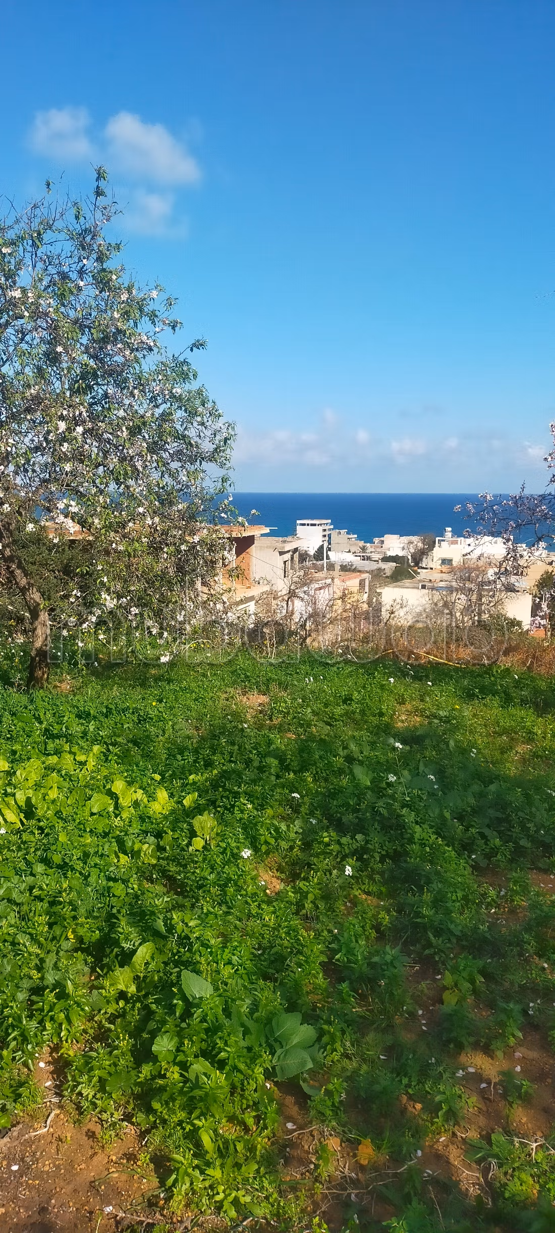 Terrain d'exception avec vue panoramique sur la baie de Rafraf plage À ne pas manquer