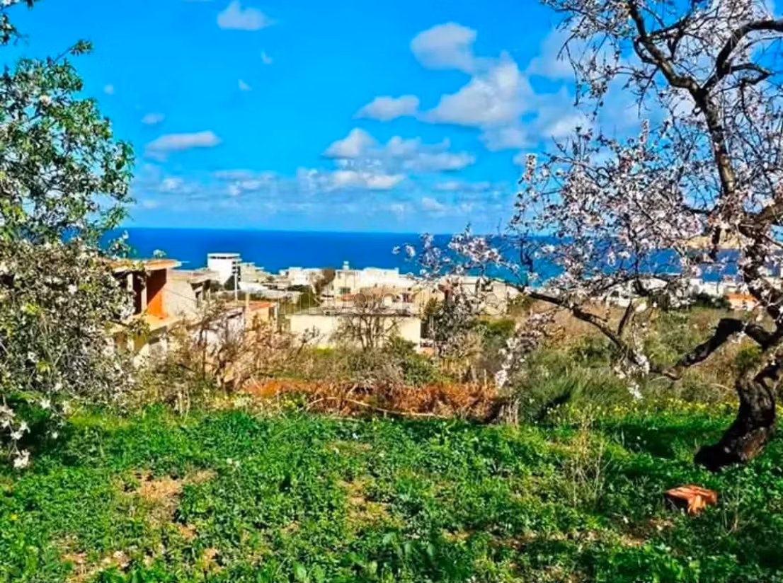 Terrain d'exception avec vue panoramique sur la baie de Rafraf plage À ne pas manquer