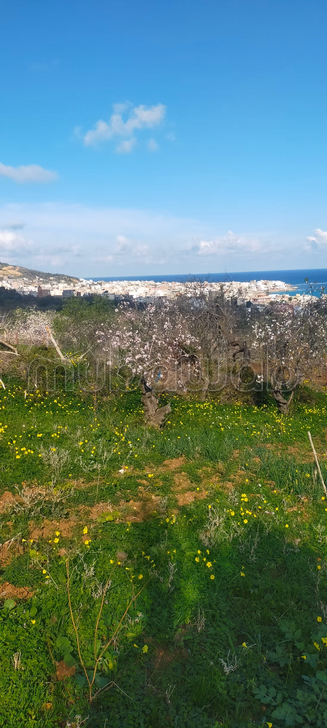 Terrain d'exception avec vue panoramique sur la baie de Rafraf plage À ne pas manquer
