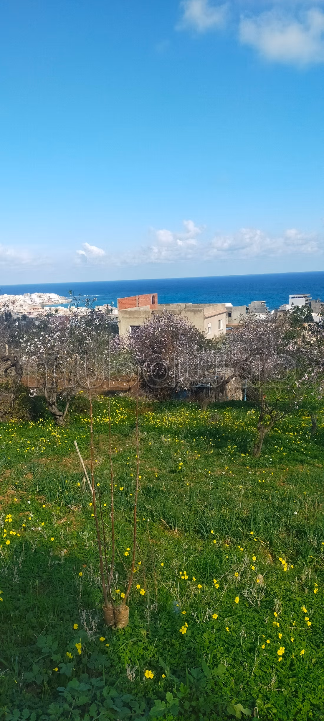 Terrain d'exception avec vue panoramique sur la baie de Rafraf plage À ne pas manquer