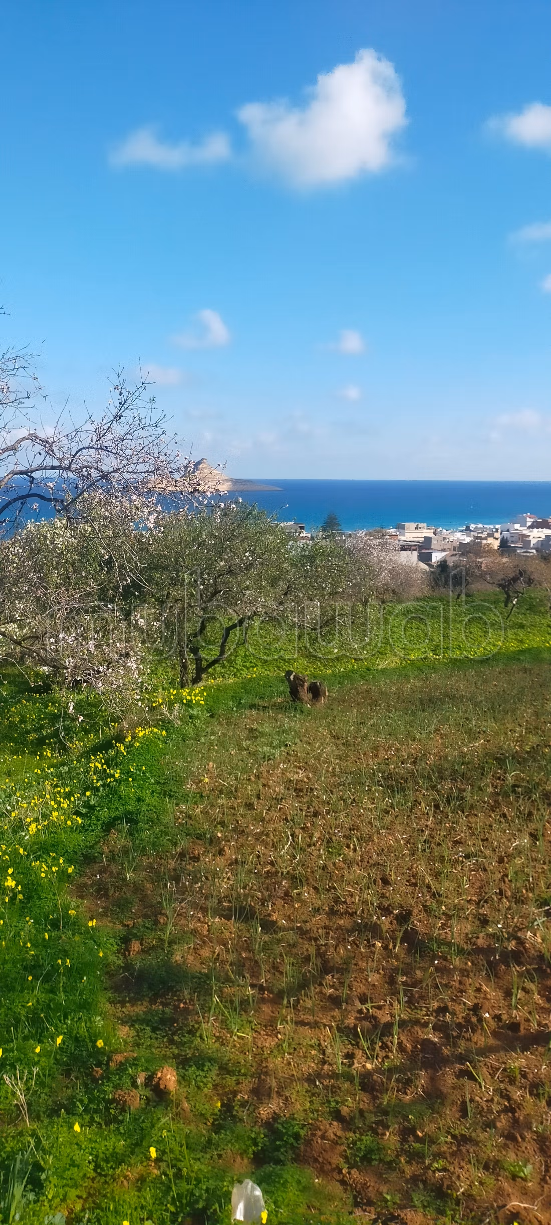 Terrain d'exception avec vue panoramique sur la baie de Rafraf plage À ne pas manquer