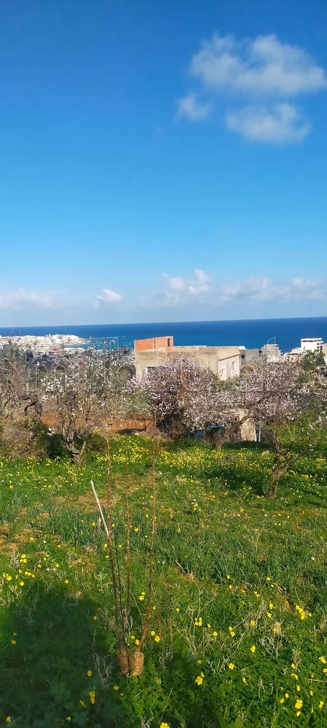 Terrain d'exception avec vue panoramique sur la baie de Rafraf plage À ne pas manquer