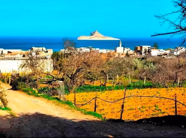 Terrain d'exception avec vue panoramique sur la baie de Rafraf plage À ne pas manquer