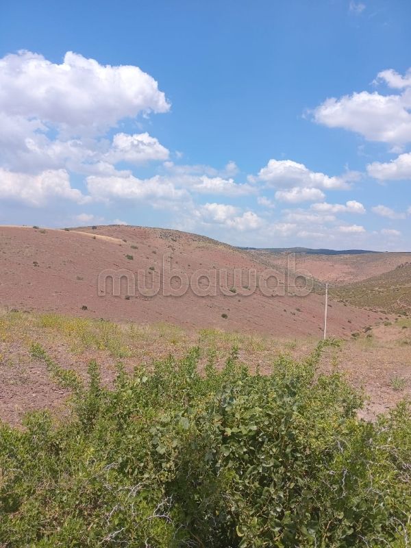 Developpement de terrain a benslimane