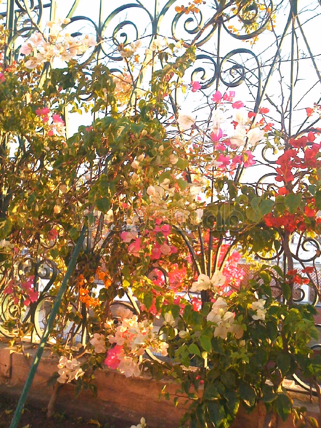 Vendita di un bell'appartamento a Gauthier. Superficie 408 m². Terrazzo e garage