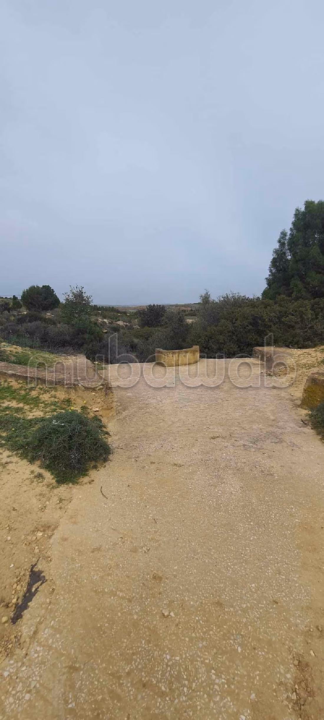 Nice farm for sale in Ben Arous. Large area 80500 m²