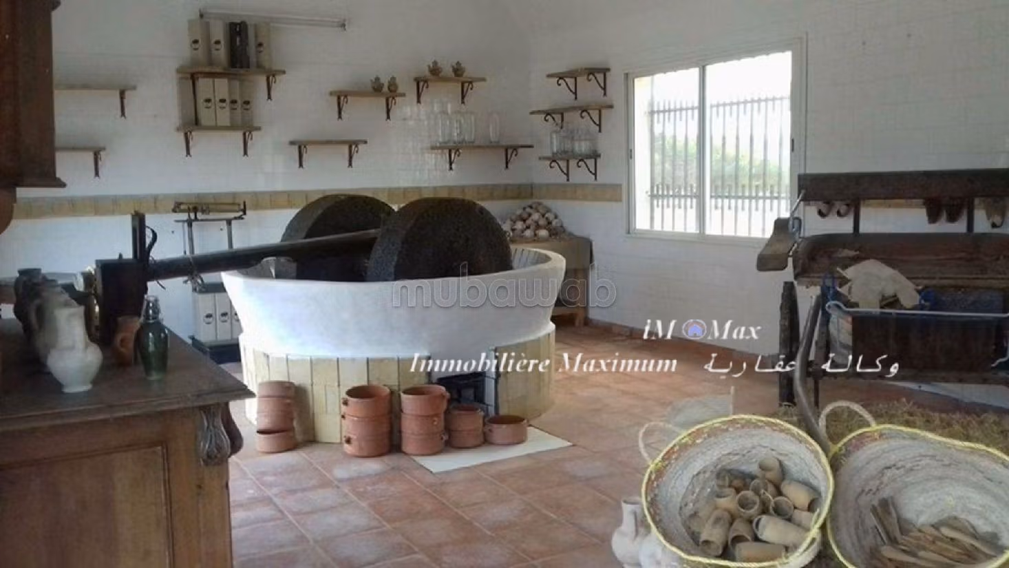 Domaine Agricole/Touristique 230 Hectares à El Fahs