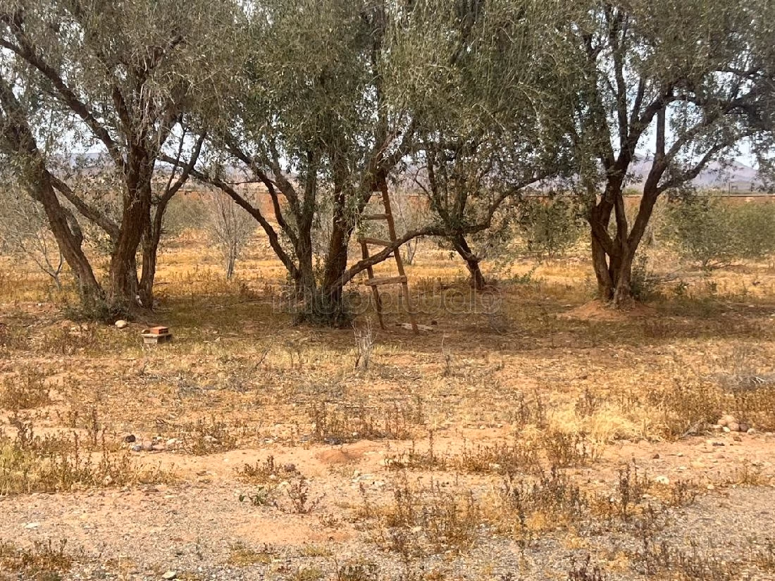 Une Ferme d'exception à ne pas rater 1.6M DH