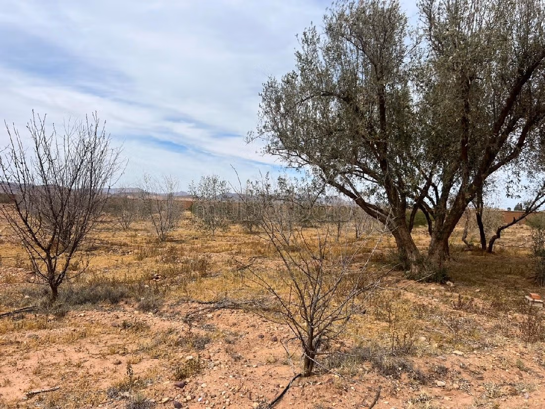 Une Ferme d'exception à ne pas rater 1.6M DH