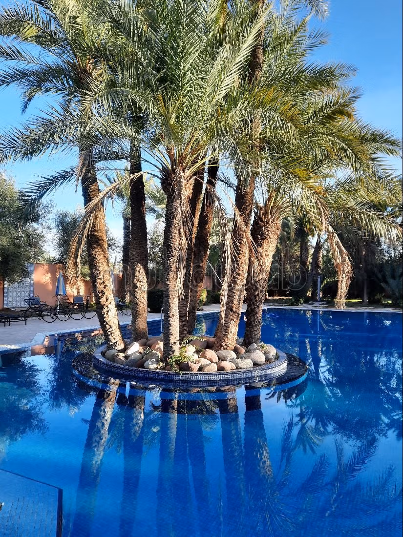 شقة استثنائية في قلب النخيل