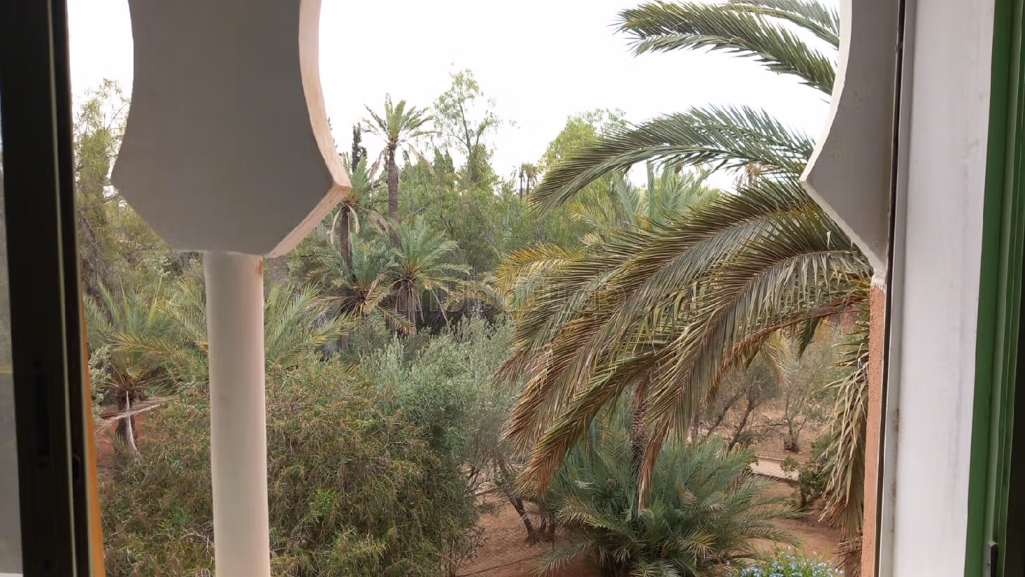 شقة استثنائية في قلب النخيل