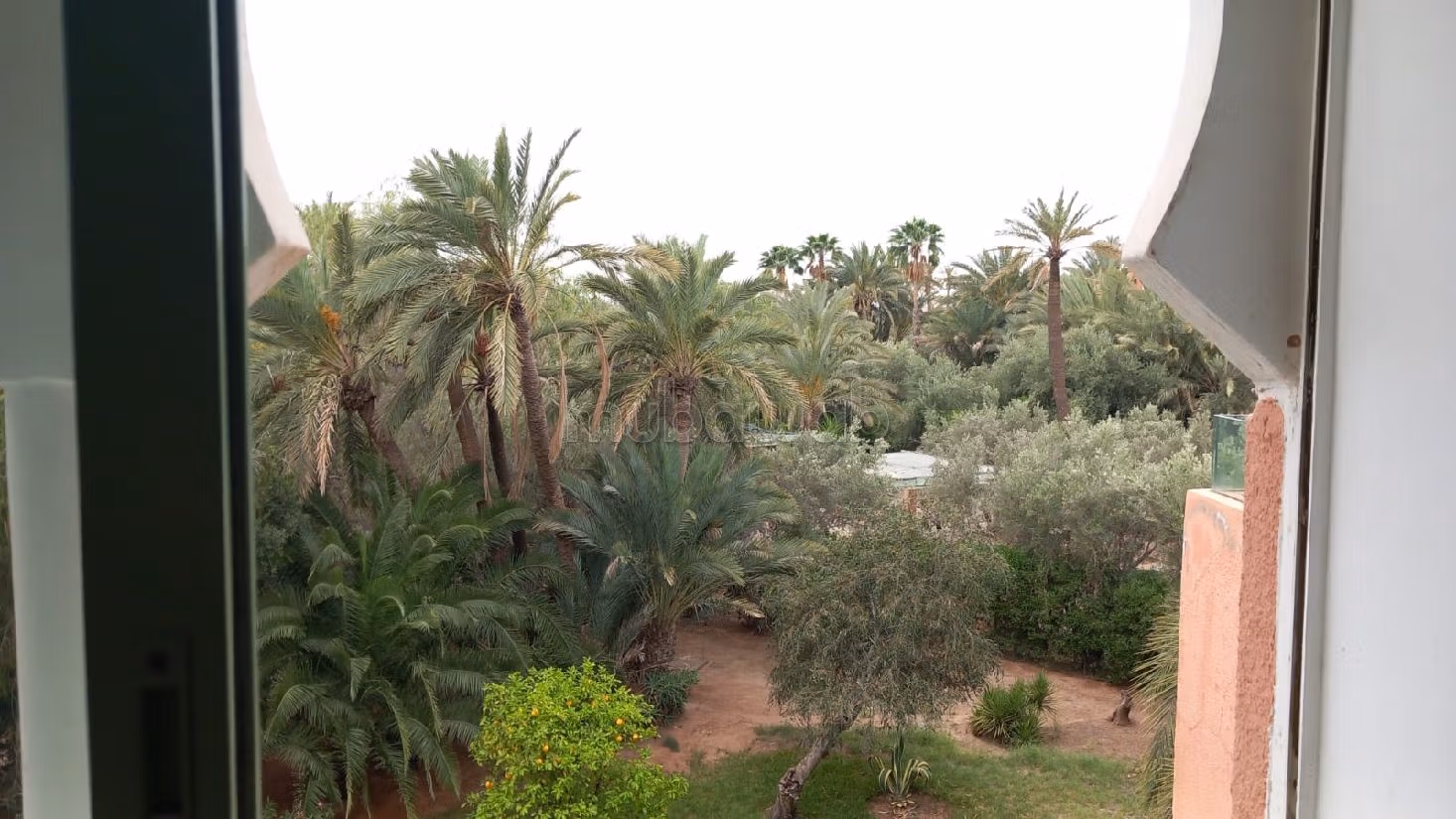 شقة استثنائية في قلب النخيل