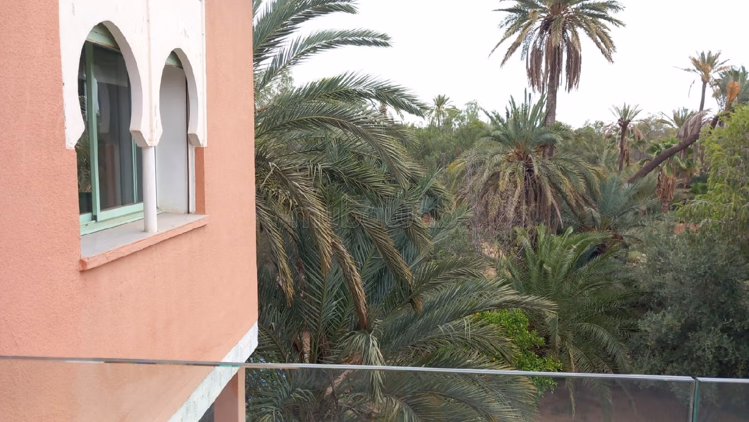 شقة استثنائية في قلب النخيل