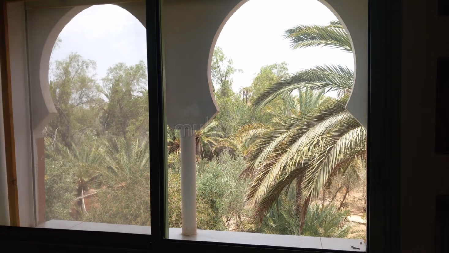 شقة استثنائية في قلب النخيل